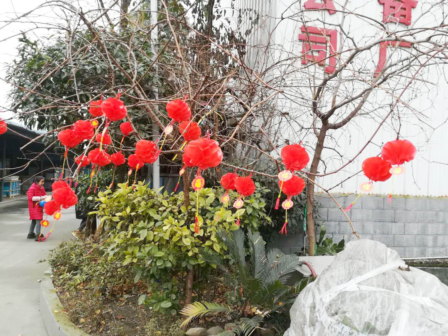 四川好色APP在线观看好色先生APP下载设备公司年会4