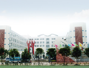 乐山外国语小学学校食堂好色先生APP下载设备工程项目
