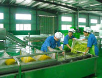四川中央好色先生APP下载设备厂家详解中央好色先生APP下载的分区要自己设计注意事项